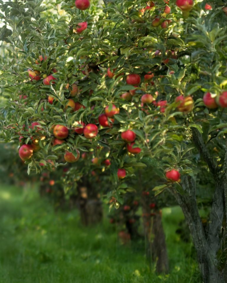 SSUCv3H4sIAAAAAAAEAJ2QzW7DIBCE75X6DhZnW+LHaeK+StTDGrYuKjER4FRV5Hcvf5Y498Z8swPMPl9fuo7M4LUk790zqai1MZsPDoK2a8S0rxyVDtZpMAkmtmeH+ABh8+jTFRVJCLjE2QJr/njnWnR3GNmMiWgR0jfMb3NmB9r7fyfL4eOoAguu8jd/uCni0CCUItcySr5/ArpbW+2hFdpGw6a0bVo+rASTAqK5+e601OvSxGz4QtduLK7c3hqw2pB/UosRFVeaJBOMU8onxkchLqNg5zqgVbLP4nN8Q4oDm5gYRkqn4cJRDUwAnFBSPtNTXMv+B+orRT37AQAA