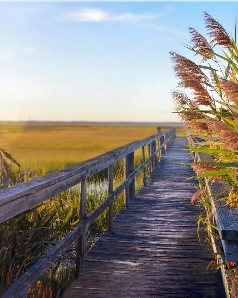 wooden bridge leading into the lake with a beautiful sunset