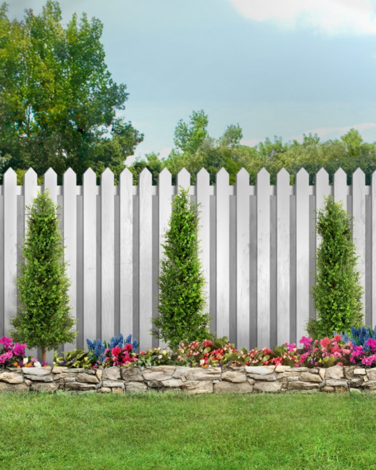 An empty backyard with grass, small trees and a wood fence